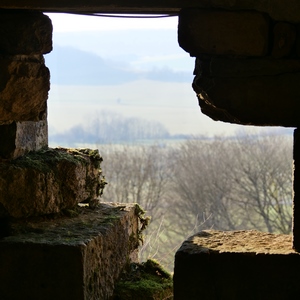 Ouverture sur la nature dans le mur d'une casemate - France  - collection de photos clin d'oeil, catégorie rues